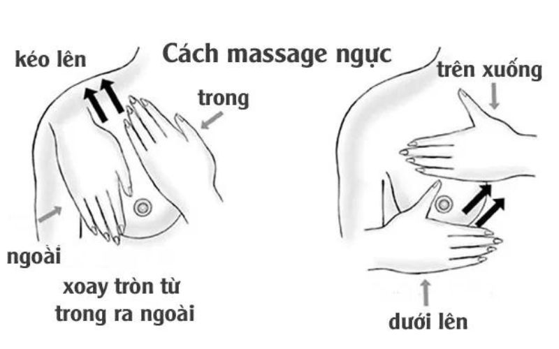 massage ngực hỗ trợ điều trị tắc tia sữa